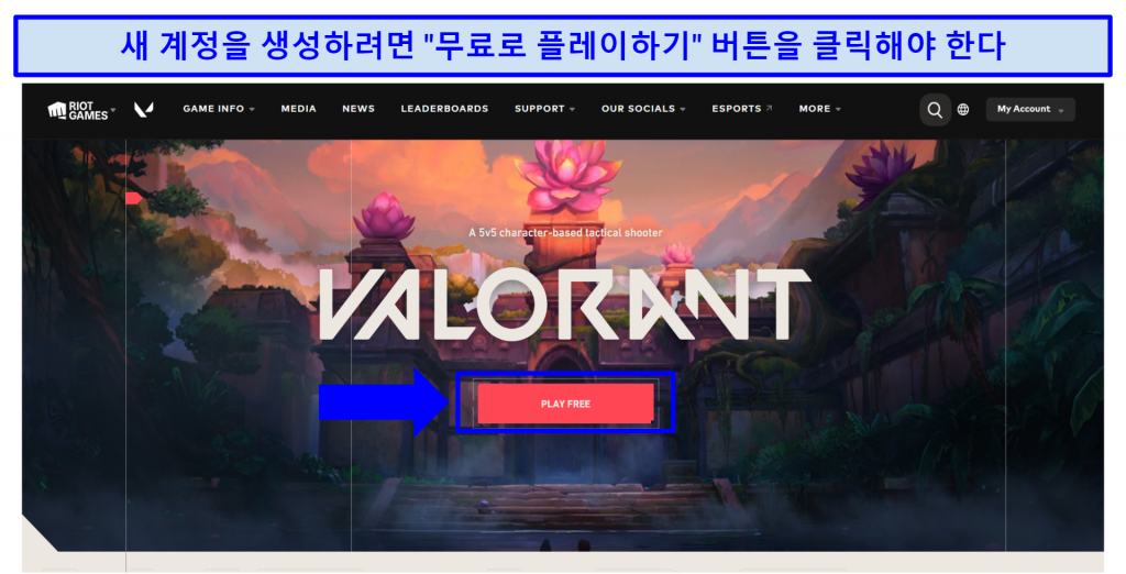 Screenshot of Valorant's Signup Page