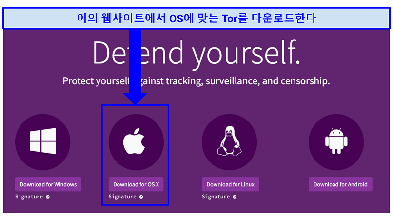 The Tor download webpage with indication of where to click to download Tor for OS X