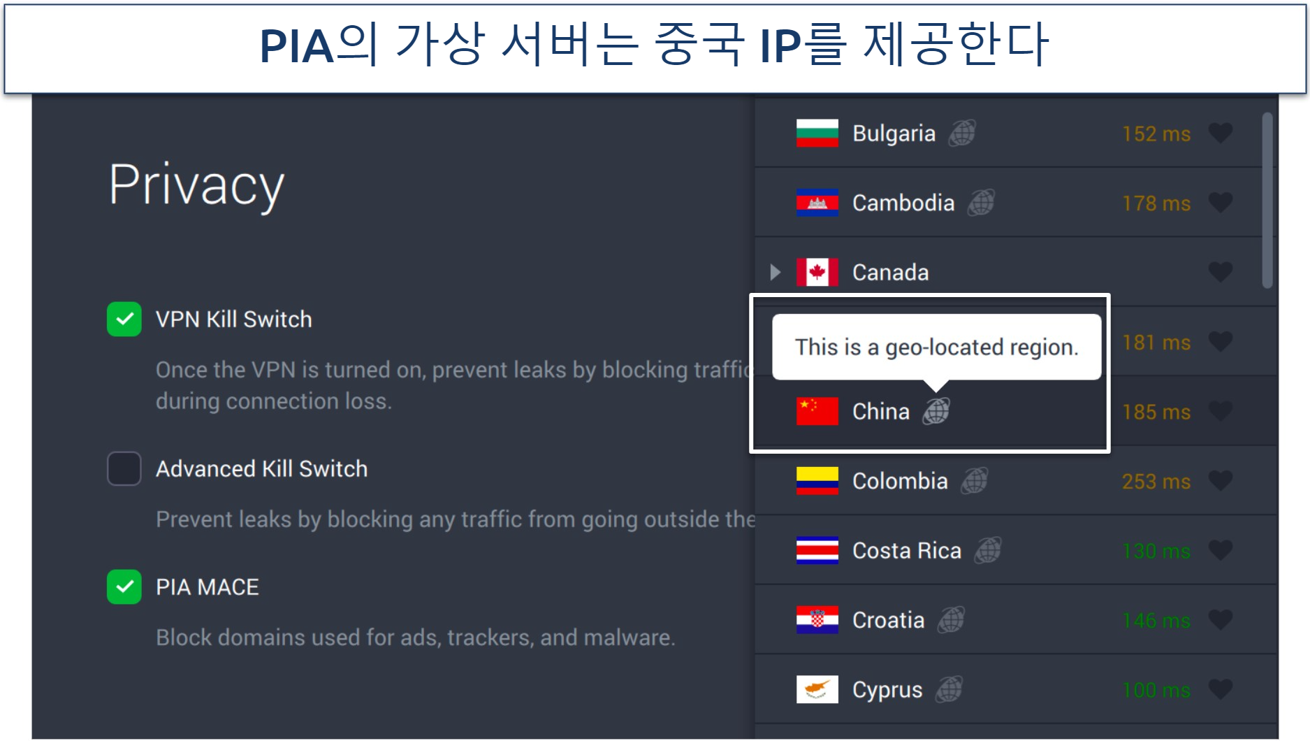 Screenshot of PIA's privacy settings and virtual개 서버 the app