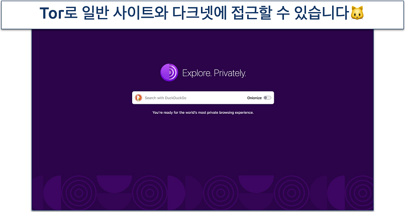 Screenshot of the Tor Browser homepage