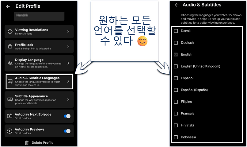 Screenshot of the Netflix mobile app language selection settings