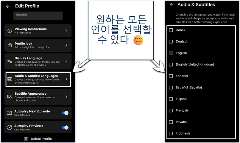 Screenshot of the Netflix mobile app language selection settings